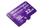 32GB microSD Card (Surveillance Grade)