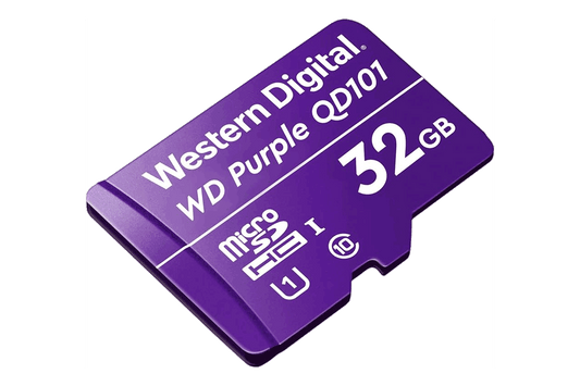 32GB microSD Card (Surveillance Grade)