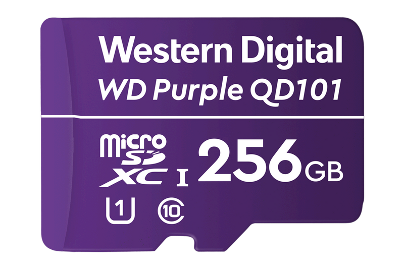 256GB microSD Card (Surveillance Grade)